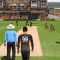 Ashes-Cricket-Game-Download-PC-Advanced