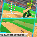 IPL-6-PC-Game-Free-Download-Updated-Version