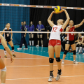 Volleyball-Random-Free-Download